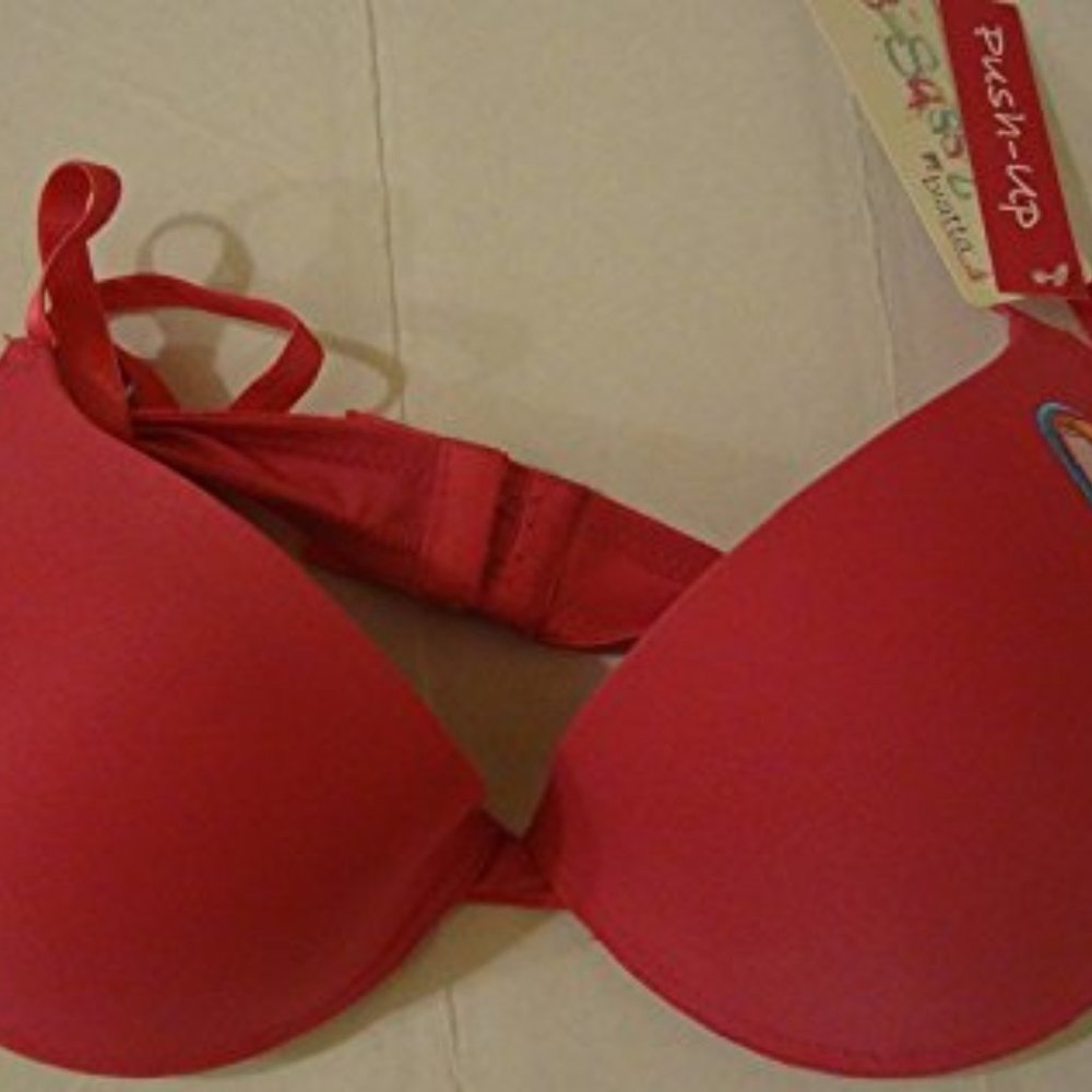 Pink Push Up Bra size 36B NWT